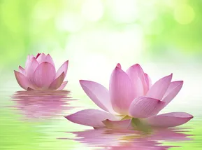 Schwangerschaftsmassage